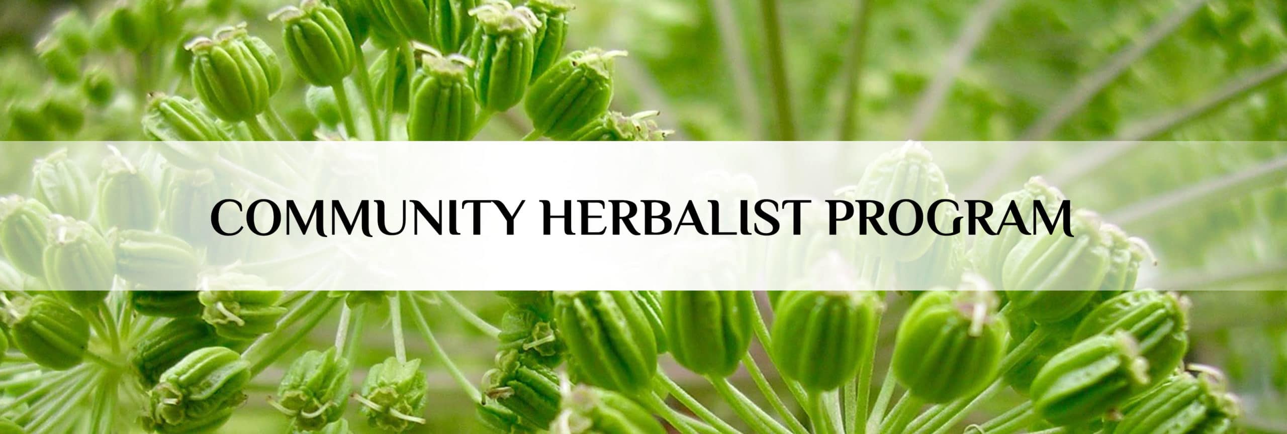 Community Herbalist Program